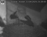 Capi_Dubne_20250413_232003.jpg