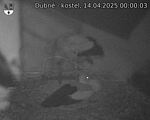 Capi_Dubne_20250414_000003.jpg