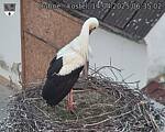 Capi_Dubne_20250414_063502.jpg