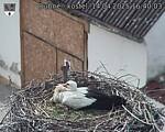 Capi_Dubne_20250414_164003.jpg