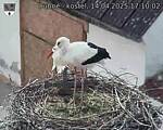 Capi_Dubne_20250414_171002.jpg