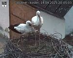 Capi_Dubne_20250414_200503.jpg