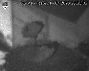 Capi_Dubne_20250414_203503.jpg (1350 x 1080)