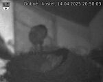 Capi_Dubne_20250414_205003.jpg