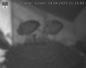 Capi_Dubne_20250414_211502.jpg (1350 x 1080)