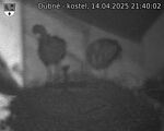 Capi_Dubne_20250414_214002.jpg