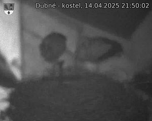 Capi_Dubne_20250414_215002.jpg (1350 x 1080)