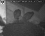 Capi_Dubne_20250414_225002.jpg