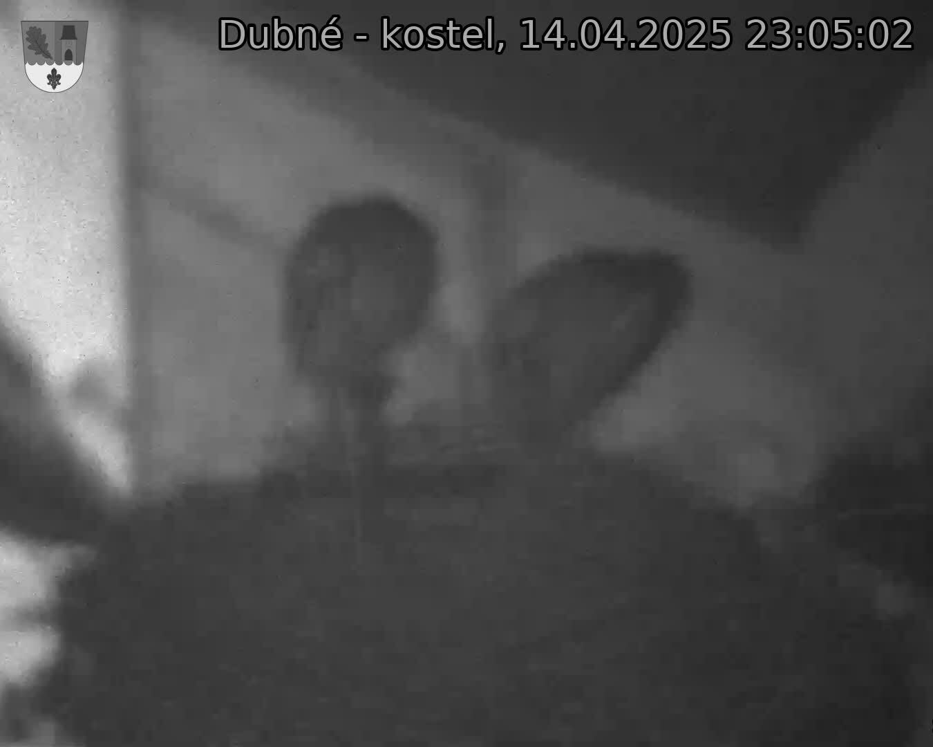 Capi_Dubne_20250414_230502.jpg (1350 x 1080)