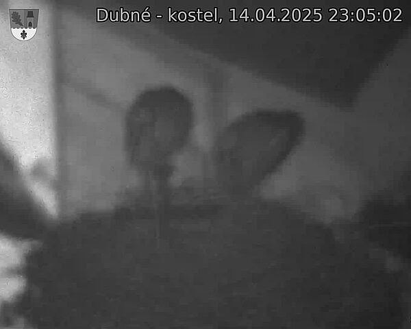 Capi_Dubne_20250414_230502.jpg (1350 x 1080)