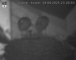 Capi_Dubne_20250414_232003.jpg