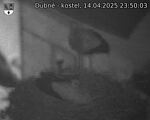 Capi_Dubne_20250414_235003.jpg