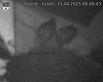 Capi_Dubne_20250415_000003.jpg