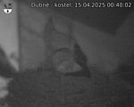 Capi_Dubne_20250415_004002.jpg