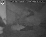 Capi_Dubne_20250415_020002.jpg