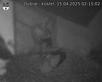 Capi_Dubne_20250415_021502.jpg