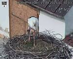Capi_Dubne_20250415_113003.jpg