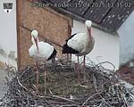 Capi_Dubne_20250415_133502.jpg
