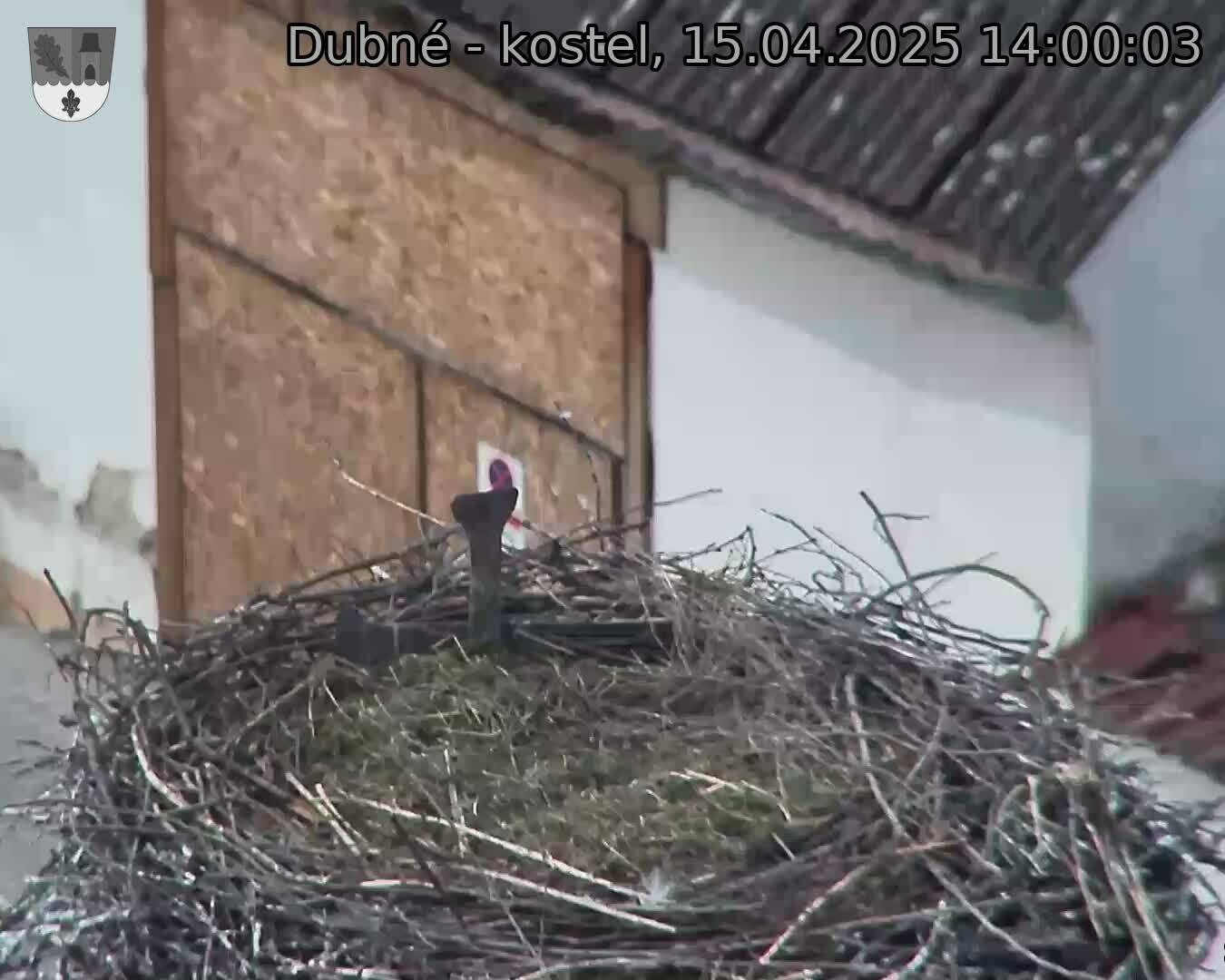 Capi_Dubne_20250415_140003.jpg (1350 x 1080)