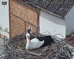 Capi_Dubne_20250415_141002.jpg
