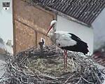 Capi_Dubne_20250415_154502.jpg
