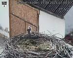Capi_Dubne_20250415_170003.jpg