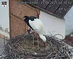 Capi_Dubne_20250415_183002.jpg
