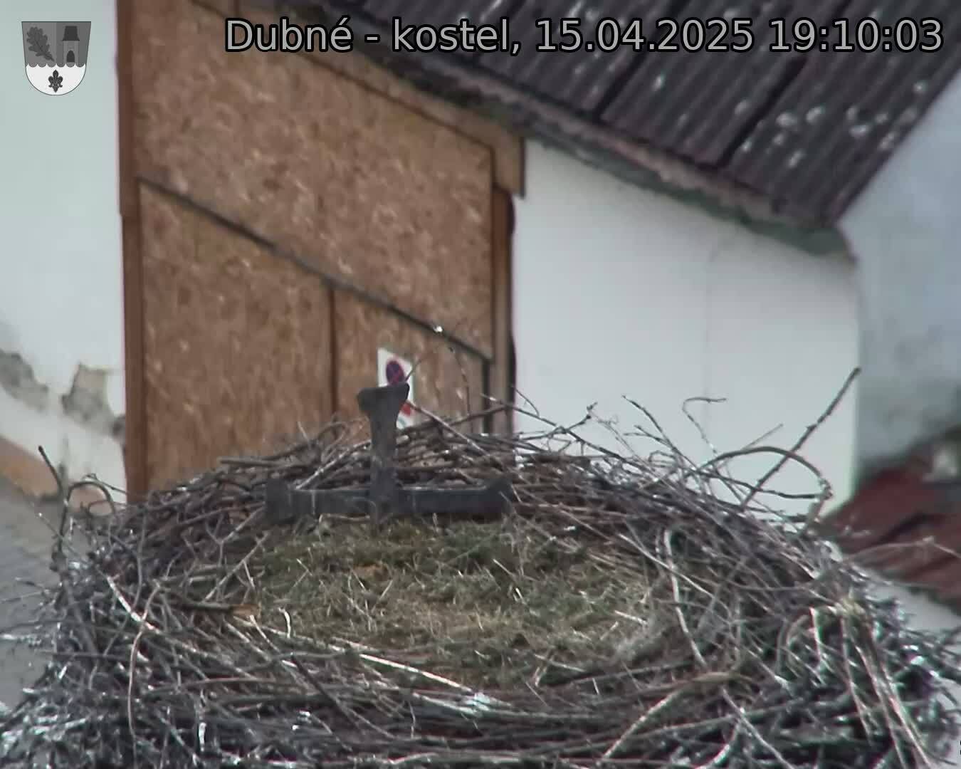 Capi_Dubne_20250415_191003.jpg (1350 x 1080)