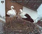 Capi_Dubne_20250415_195003.jpg
