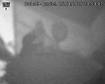 Capi_Dubne_20250415_205002.jpg