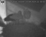 Capi_Dubne_20250415_223002.jpg