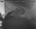 Capi_Dubne_20250415_224002.jpg