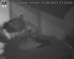 Capi_Dubne_20250415_231002.jpg