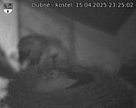Capi_Dubne_20250415_232502.jpg
