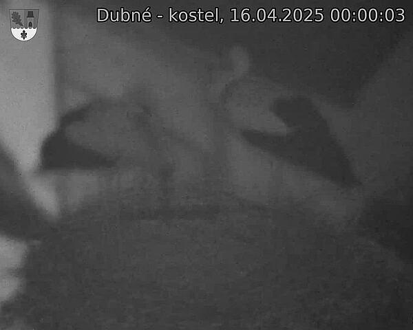 Capi_Dubne_20250416_000003.jpg (1350 x 1080)