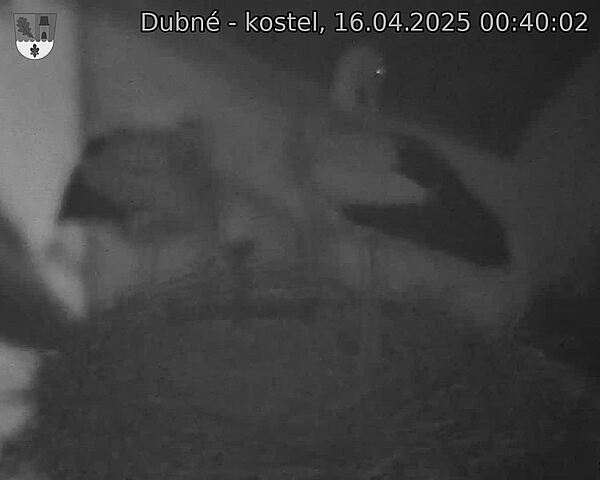 Capi_Dubne_20250416_004002.jpg (1350 x 1080)