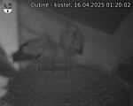 Capi_Dubne_20250416_012002.jpg