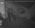 Capi_Dubne_20250416_014502.jpg
