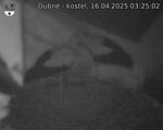 Capi_Dubne_20250416_032502.jpg