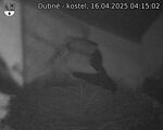 Capi_Dubne_20250416_041502.jpg