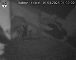 Capi_Dubne_20250416_043002.jpg
