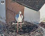 Capi_Dubne_20250416_065502.jpg