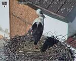 Capi_Dubne_20250416_112002.jpg
