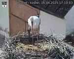 Capi_Dubne_20250416_171003.jpg