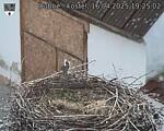 Capi_Dubne_20250416_192502.jpg