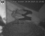 Capi_Dubne_20250416_211502.jpg