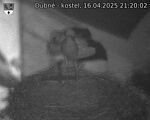 Capi_Dubne_20250416_212002.jpg