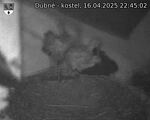 Capi_Dubne_20250416_224502.jpg
