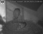 Capi_Dubne_20250416_230003.jpg
