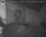 Capi_Dubne_20250416_232003.jpg